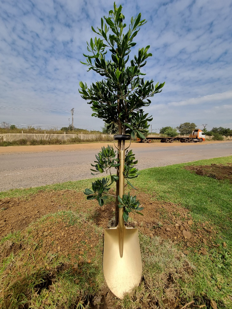 earthday kwikbuildcement eco footprint.jpg
